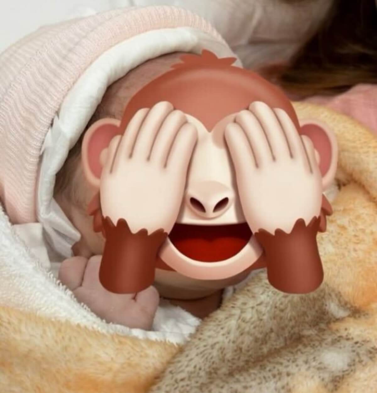 ベビゴリの紹介